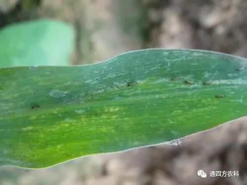 ���הQ����ô�k����ץ�o��Q��Ӱ푮a(ch��n)��!!!